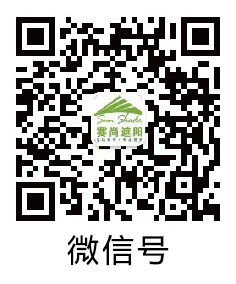 微信號