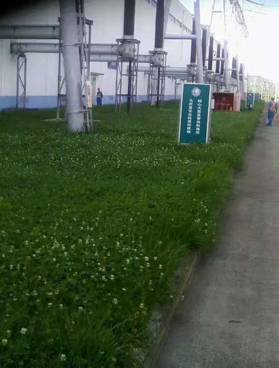 ����O(sh��)�����Ϳ�Ϲ���