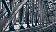 䓽Y�����ķN������^����